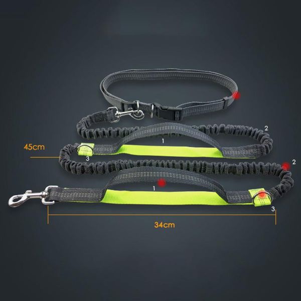 dog collars & leashes leash running belt jogging sport adjustable rope with reflective strip pet accessories
dog collars & leashes leash running belt jogging sport adjustable rope with reflective strip pet accessories