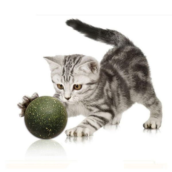 cat toys pet toy catnip ball cats teeth cleaning improve the appetite chew healthy safe edible treating
cat toys pet toy catnip ball cats teeth cleaning improve the appetite chew healthy safe edible treating