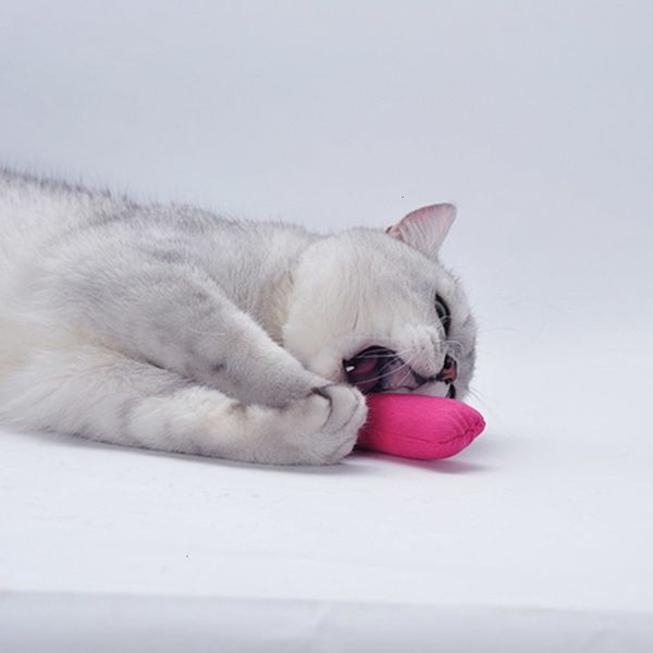 funny toys teeth interactive grinding plush catnip pet kitten chewing toy claws thumb bite cat mint for cats
funny toys teeth interactive grinding plush catnip pet kitten chewing toy claws thumb bite cat mint for cats