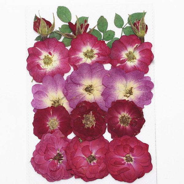 1bag dried flowers uv resin decorative natural floral flower stickers 3d beauty nail art decals epoxy mold diy filling jewelry h jlltgo
1bag dried flowers uv resin decorative natural floral flower stickers 3d beauty nail art decals epoxy mold diy filling jewelry h jlltgo