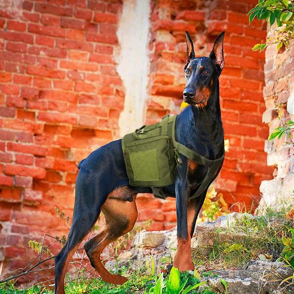 tactical dog harness military molle vest nylon pet training harnesses for medium large dogs german shepherd k9 army g bbywvv
tactical dog harness military molle vest nylon pet training harnesses for medium large dogs german shepherd k9 army g bbywvv