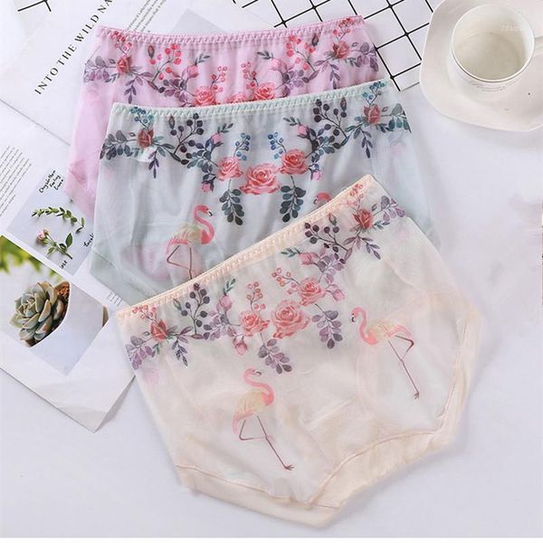 women's panties 3pcs/lot thin intimates girls underwears flamingo print plus size 5xl lingeries mesh transparent women's sets1, Black;pink
women's panties 3pcs/lot thin intimates girls underwears flamingo print plus size 5xl lingeries mesh transparent women's sets1, Black;pink