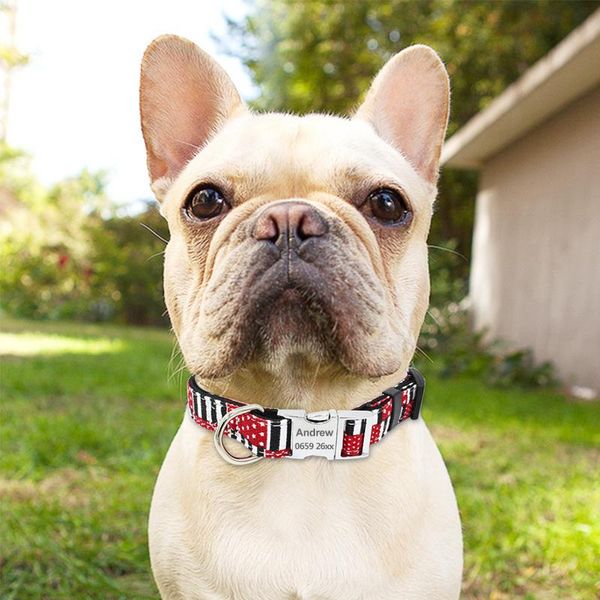 собаки ошейники customized pet dog tag воротник на заказ щенок cat персонализированный nameplate id ошейники для собак гравировка tag name p
собаки ошейники customized pet dog tag воротник на заказ щенок cat персонализированный nameplate id ошейники для собак гравировка tag name p