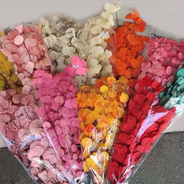 eternal flowers, eucalyptus leaves, bouquets of dried flowers, living room decorations of real decoration, round leaves1
eternal flowers, eucalyptus leaves, bouquets of dried flowers, living room decorations of real decoration, round leaves1