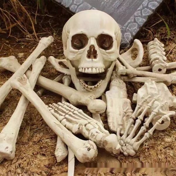 0zq2n ghost skull bar and props secret room bar props halloween party horror decoration 28 pieces broken bone bag trick skeleton house wm9hh
0zq2n ghost skull bar and props secret room bar props halloween party horror decoration 28 pieces broken bone bag trick skeleton house wm9hh