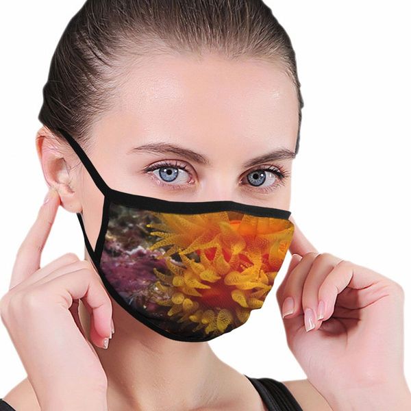 christmas mask cotton cool cloth party mask breathable soft designers face masks 86pcs
christmas mask cotton cool cloth party mask breathable soft designers face masks 86pcs