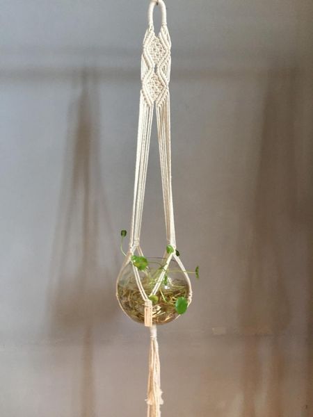 planters & pots arrival 100% handmade beige pink blue green black macrame plant hanger pot hanging
planters & pots arrival 100% handmade beige pink blue green black macrame plant hanger pot hanging