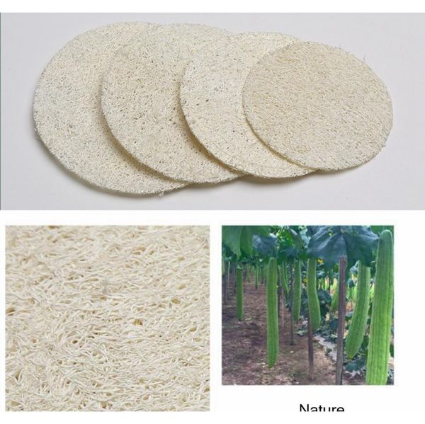 6*6cm roud natural face loofah pad luffa makeup remove sponge loofa exfoliating and dead skin bath shower tool aaa984 vmtfk
6*6cm roud natural face loofah pad luffa makeup remove sponge loofa exfoliating and dead skin bath shower tool aaa984 vmtfk