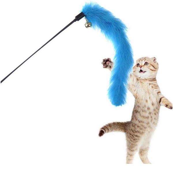 1pc new plush plastic vivid pet toy pet turkey hair cat cat toy funny cat high qual qylqti
1pc new plush plastic vivid pet toy pet turkey hair cat cat toy funny cat high qual qylqti