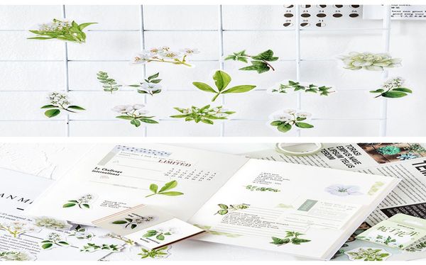 46 pcs box gardenia blossom scrapbooking stickers paper sticker flakes stationary office accessories art supplies 46 pcs box wmtccn xhhair
46 pcs box gardenia blossom scrapbooking stickers paper sticker flakes stationary office accessories art supplies 46 pcs box wmtccn xhhair