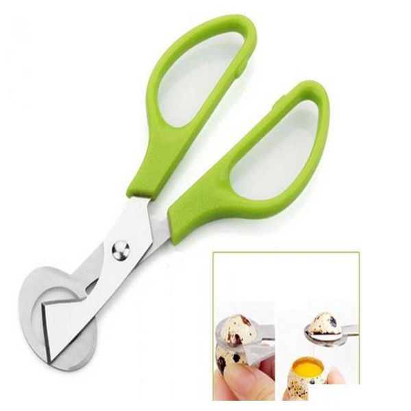 50pcs/lot dhl fedex fast shipping wholesale new pigeon quail egg scissors egg jllvch dayupshop
50pcs/lot dhl fedex fast shipping wholesale new pigeon quail egg scissors egg jllvch dayupshop