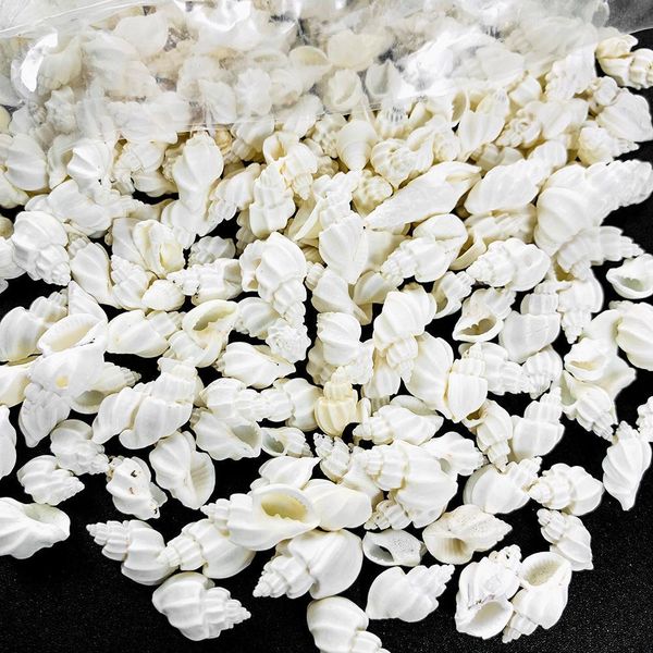 100g natural white conch shell aquarium fish tank landscape mini conch seashells diy nautical home decor specimen wedding decor h jllxub
100g natural white conch shell aquarium fish tank landscape mini conch seashells diy nautical home decor specimen wedding decor h jllxub