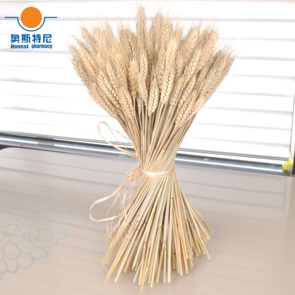 100pcs natural dried flower bouquets natural raw color dried ear of wheat bouquets&wheat ear bunches 1022
100pcs natural dried flower bouquets natural raw color dried ear of wheat bouquets&wheat ear bunches 1022