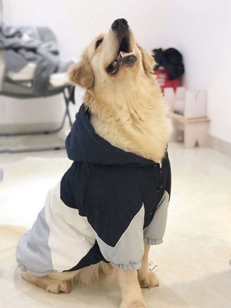 and husky labrador big cotton padded cloth golden winter medium large dog autumn clothing
and husky labrador big cotton padded cloth golden winter medium large dog autumn clothing