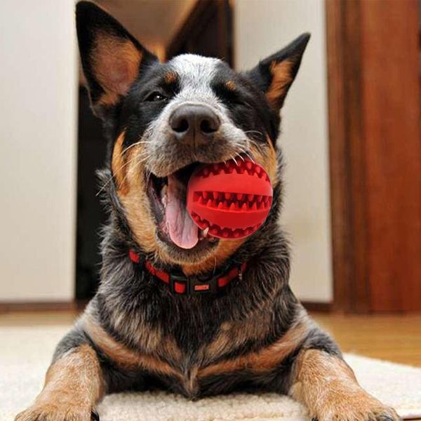 soft rubber dog toys chew ball toy for dogs bite resistant tooth cleaning dog toy interactive balls for training playing bbykbq
soft rubber dog toys chew ball toy for dogs bite resistant tooth cleaning dog toy interactive balls for training playing bbykbq