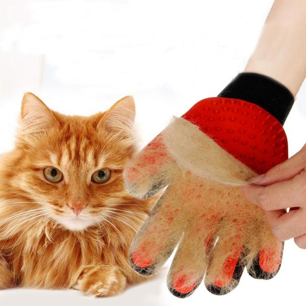 собака волосы c co очистка уход кисть массаж перчатка ванна supplies pet wmtbjz xhhair
собака волосы c co очистка уход кисть массаж перчатка ванна supplies pet wmtbjz xhhair