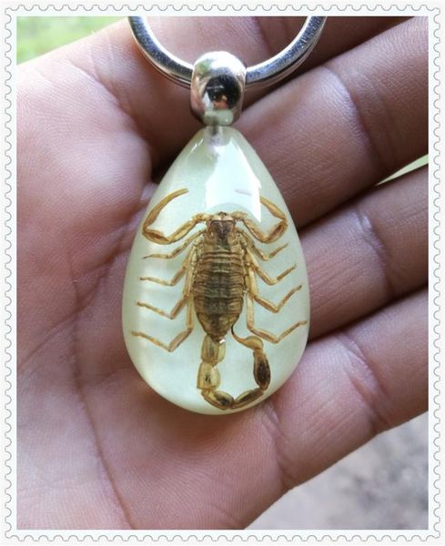 car motorcycle light insect keychain scorpion key ring for land rover 2.5 v6 found 3 v6 v81, Silver
car motorcycle light insect keychain scorpion key ring for land rover 2.5 v6 found 3 v6 v81, Silver