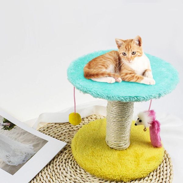 cat toys toy climbing frame scratching post tree scratcher pole furniture gym house jumping platforms random color1
cat toys toy climbing frame scratching post tree scratcher pole furniture gym house jumping platforms random color1