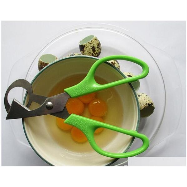 500pcs pigeon quail egg scissor stainless steel bird cutter opener kitchen too jllhyz bdebag
500pcs pigeon quail egg scissor stainless steel bird cutter opener kitchen too jllhyz bdebag