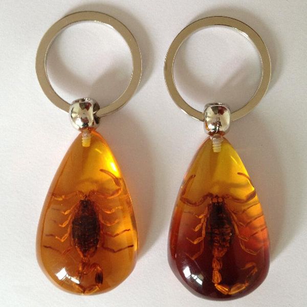 creative insect amber keychain car crystal insect keyring outdoor fashion key ring birthday gifts accessories for man women dbc dh1009
creative insect amber keychain car crystal insect keyring outdoor fashion key ring birthday gifts accessories for man women dbc dh1009