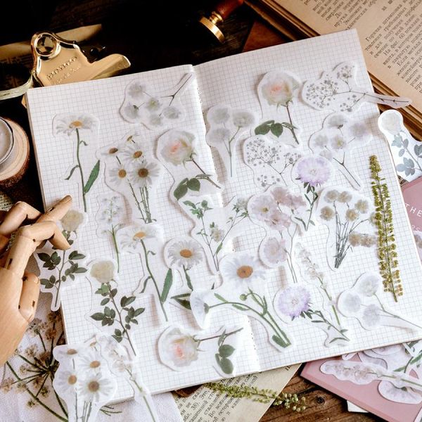 tianzi 45 из medici сада серии а бумаги papaya наклейки завод гипсофила ретро scrapbook diy diary наклейки симпатичные sqcrov bbgargden
tianzi 45 из medici сада серии а бумаги papaya наклейки завод гипсофила ретро scrapbook diy diary наклейки симпатичные sqcrov bbgargden