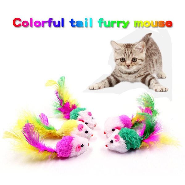 1pc color feather mouse cat toys random color mini mice catchable pet playing toys so qylqea
1pc color feather mouse cat toys random color mini mice catchable pet playing toys so qylqea