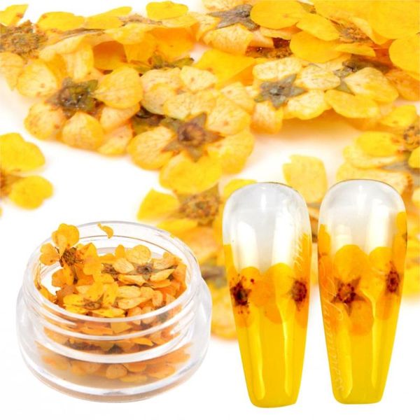 nail art decorations wuf 1pc dried flowers decoration natural dry floral leaf diy sticker beauty jewelry tips colorful gel ornaments, Silver;gold
nail art decorations wuf 1pc dried flowers decoration natural dry floral leaf diy sticker beauty jewelry tips colorful gel ornaments, Silver;gold