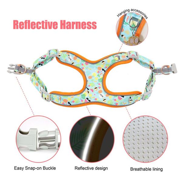 custom printed dog collar leash set personalized pet dog collar harnesses walking leash for medium large dogs french sqcbru
custom printed dog collar leash set personalized pet dog collar harnesses walking leash for medium large dogs french sqcbru