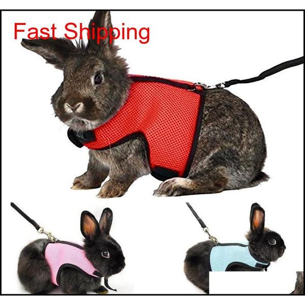 small pet harness leashes soft breathable harness leash lead for hamster rabbit guinea p qyltbx bde_luck
small pet harness leashes soft breathable harness leash lead for hamster rabbit guinea p qyltbx bde_luck