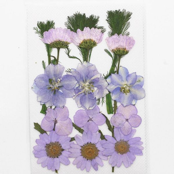 1bag dried flowers uv resin decorative natural floral flower stickers 3d beauty nail art decals epoxy mold diy filling jewelry h bbyubh
1bag dried flowers uv resin decorative natural floral flower stickers 3d beauty nail art decals epoxy mold diy filling jewelry h bbyubh