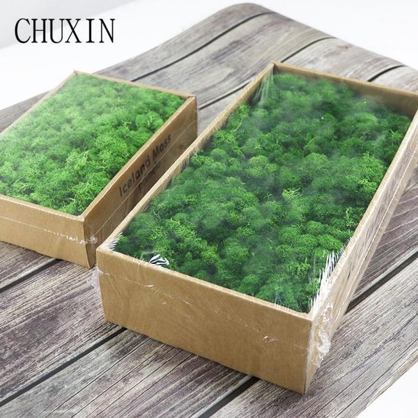 decorative flowers & wreaths artificial green plants fake flower eternal moss grass home living room wall diy mini accessories1
decorative flowers & wreaths artificial green plants fake flower eternal moss grass home living room wall diy mini accessories1