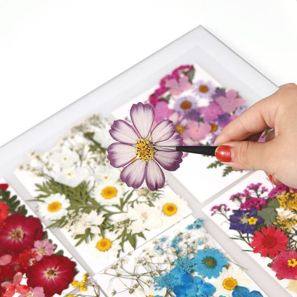 1 bag of dried flowers uv resin decorative natural flower stickers 3d dry beauty decal epoxy mold diy filling jllfwl
1 bag of dried flowers uv resin decorative natural flower stickers 3d dry beauty decal epoxy mold diy filling jllfwl
