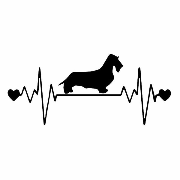 17.2x7.5cm wirehaired dachshund lifeline car sticker dachshund heartbeat dog vinyl decal black/silver c24-1318
17.2x7.5cm wirehaired dachshund lifeline car sticker dachshund heartbeat dog vinyl decal black/silver c24-1318