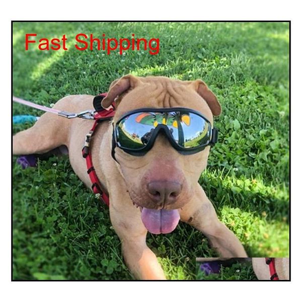 pet safety goggles dust waterproof windproof sun-proof dog goggles protective glasses outdoor ultraviole qylmlz dh_seller2010
pet safety goggles dust waterproof windproof sun-proof dog goggles protective glasses outdoor ultraviole qylmlz dh_seller2010