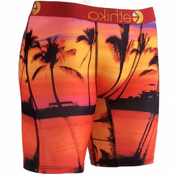 ethika mens underwear polyester spandex leg boxers brand u pouch underpants man breathable print gay long boxer men
ethika mens underwear polyester spandex leg boxers brand u pouch underpants man breathable print gay long boxer men