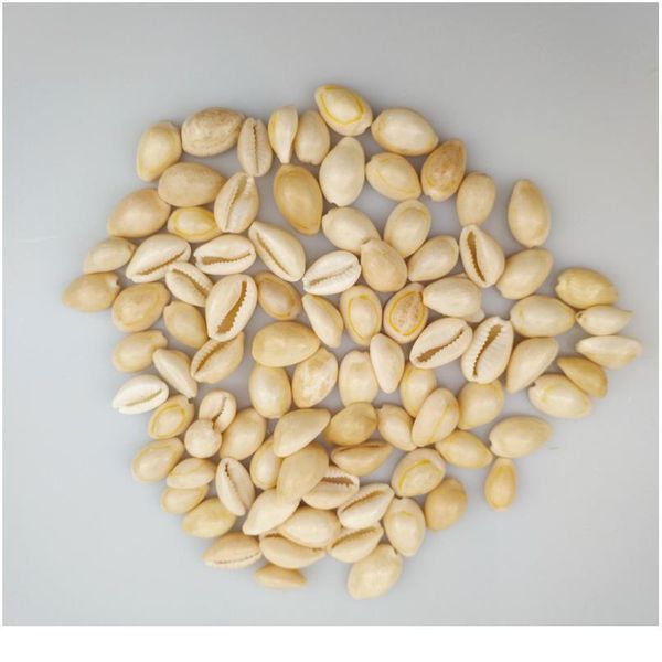 happykiss 500g cute natural sea shells loose beads accessories diy bracelets ornament home fish tank decor phnom pe qylqqp
happykiss 500g cute natural sea shells loose beads accessories diy bracelets ornament home fish tank decor phnom pe qylqqp