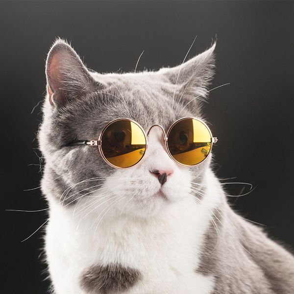 sunglasses eye-wear little glasses ps props dog cat accessories pet supplies for small dogs products
sunglasses eye-wear little glasses ps props dog cat accessories pet supplies for small dogs products