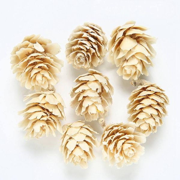 20pcs lot new colorful natural pine cone artificial flower for wedding christmas decoration handmade wreath gift scrapbooking h bbyegm
20pcs lot new colorful natural pine cone artificial flower for wedding christmas decoration handmade wreath gift scrapbooking h bbyegm