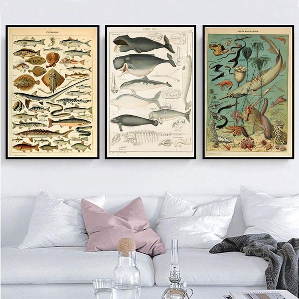 poster prints retro ocean sea shell fish animal vintage life chart biology painting art wall pictures for living room home decor
poster prints retro ocean sea shell fish animal vintage life chart biology painting art wall pictures for living room home decor
