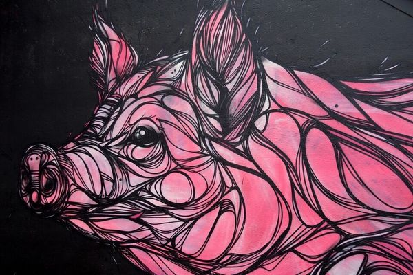 a pink pig" home decor handpainted &hd print oil paintings on canvas wall art pictures 7197
a pink pig" home decor handpainted &hd print oil paintings on canvas wall art pictures 7197