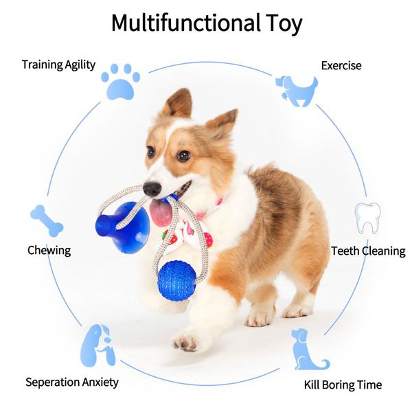 dog toys multifunction pet molar bite clean teeth rubber chew ball safety elastic dog biting toy dog accessories wmtgpq mywjqq
dog toys multifunction pet molar bite clean teeth rubber chew ball safety elastic dog biting toy dog accessories wmtgpq mywjqq