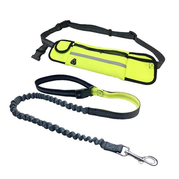 hands dog leash for running walking hiking dual-handle bungee leash supply stitching adjustable length dog accessories30 wmtyvd
hands dog leash for running walking hiking dual-handle bungee leash supply stitching adjustable length dog accessories30 wmtyvd