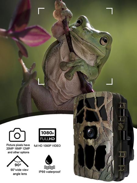 h982 forest camera 20mp 1080p hunting camera 0.2s trigger wildlife scouting security trail cameras ip66 p trap
h982 forest camera 20mp 1080p hunting camera 0.2s trigger wildlife scouting security trail cameras ip66 p trap