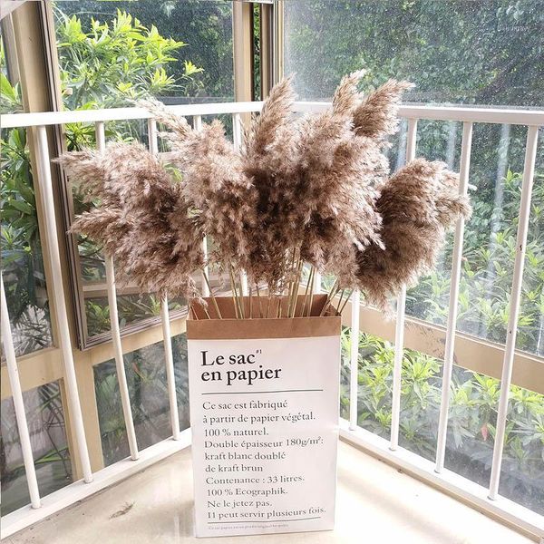 natural pampas grass wedding phragmites &reed bunch flowers dried reed christmas home wedding decoration bouquet1
natural pampas grass wedding phragmites &reed bunch flowers dried reed christmas home wedding decoration bouquet1