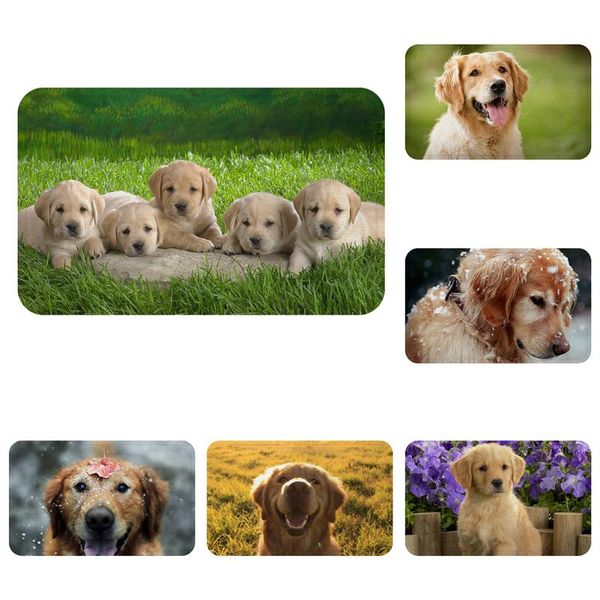 golden retriever dog pet doggy friends mat bath carpet decorative anti-slip mats room car floor bar rugs door home decor gift
golden retriever dog pet doggy friends mat bath carpet decorative anti-slip mats room car floor bar rugs door home decor gift