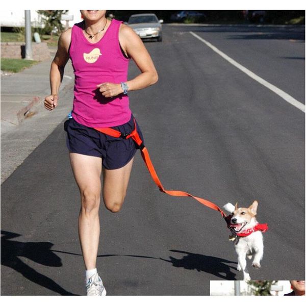 waist pet dog leash running jogging puppy dogs lead collar sport adjustable walking leash hands dog leashes airrs
waist pet dog leash running jogging puppy dogs lead collar sport adjustable walking leash hands dog leashes airrs