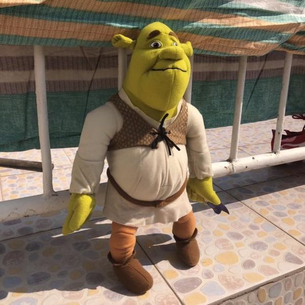 shrek plush doll stuffed toy shrek ogre 9" y200703
shrek plush doll stuffed toy shrek ogre 9" y200703