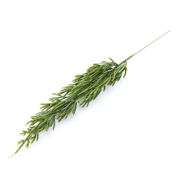 2pcs plastic grass home decoration accessories wedding decorative flowers wreath christmas crafts scrapbooking artificial plants wmthnu
2pcs plastic grass home decoration accessories wedding decorative flowers wreath christmas crafts scrapbooking artificial plants wmthnu
