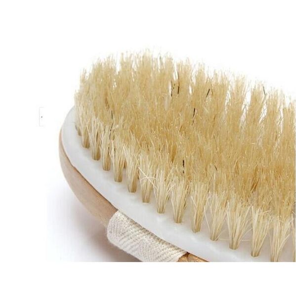 fashion natural long wooden bristle body brush massager bath shower sqcqhv homes2011
fashion natural long wooden bristle body brush massager bath shower sqcqhv homes2011