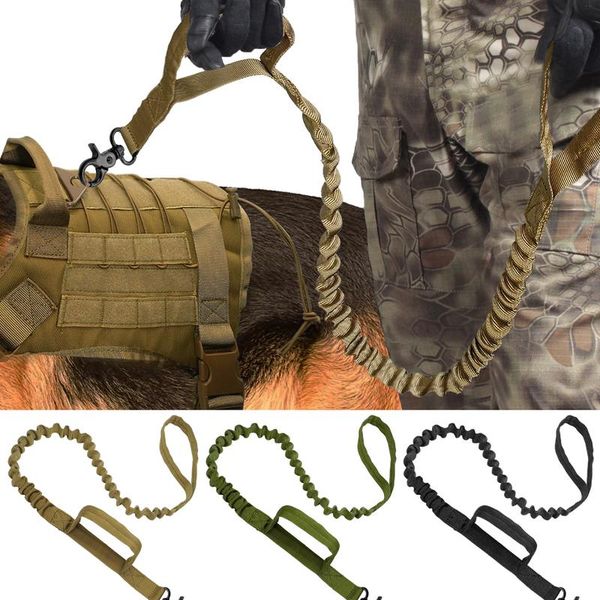army tactical dog leash nylon bungee leashes pet military lead belt training running leash for medium large dogs german sqcwxv
army tactical dog leash nylon bungee leashes pet military lead belt training running leash for medium large dogs german sqcwxv
